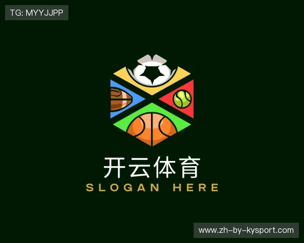 介绍开云全站app