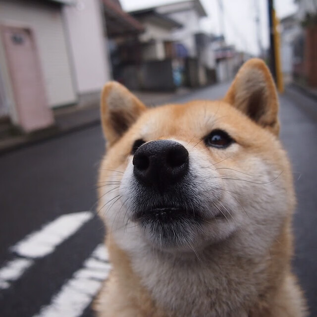 篮球解说内容为何难涵盖战术分析,篮球解说要求