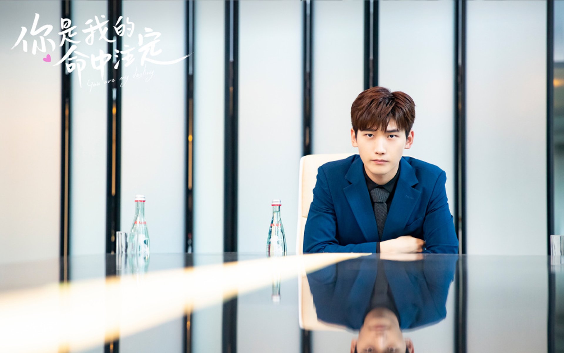 职业联赛中本土球员表现分析，国内职业联赛