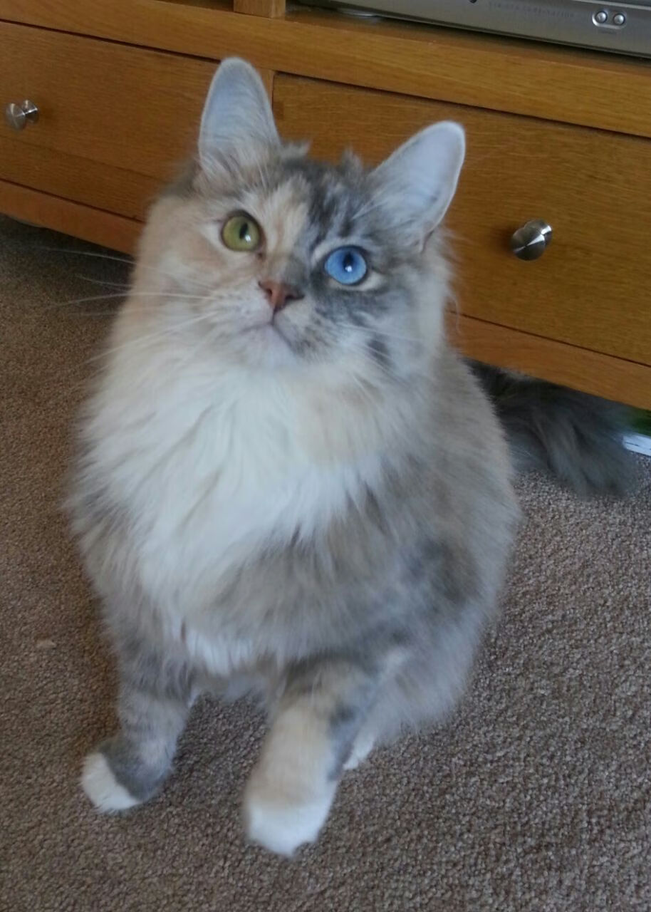 边锋突破次数是否与中路传球比例呈反向波动,边锋 升级