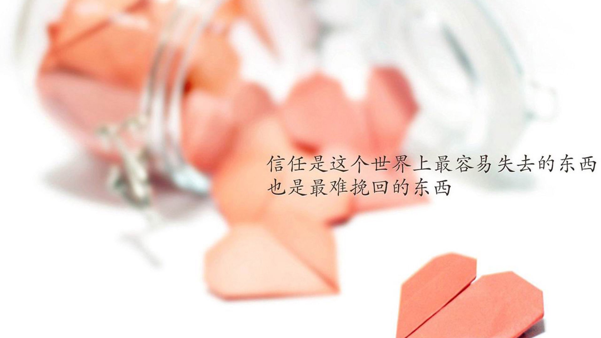 kaiyun-新闻中心公告全国体育公益创投项目评审会时间安排，2021公益投资大赛