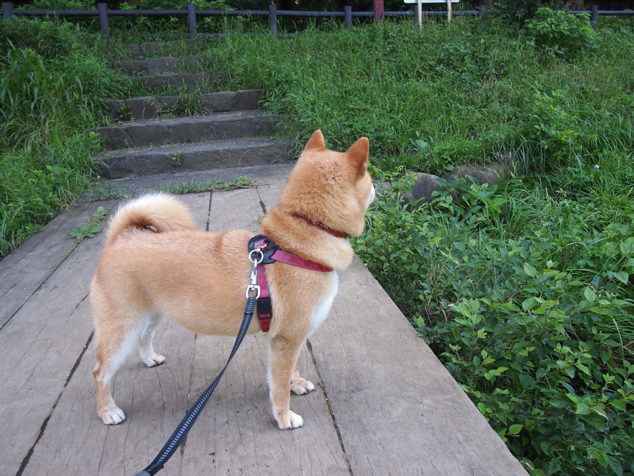 开云体育网站入口-欧洲杯激烈角逐：战术与个人能力的完美融合，欧洲杯发挥出色