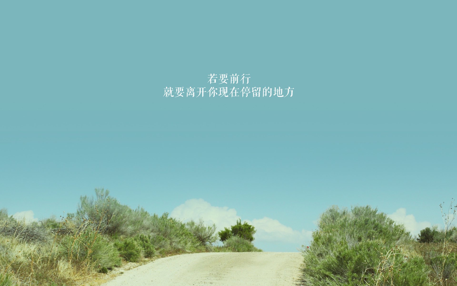 欧洲杯激烈角逐:战术与个人能力的完美融合,欧洲杯发挥出色